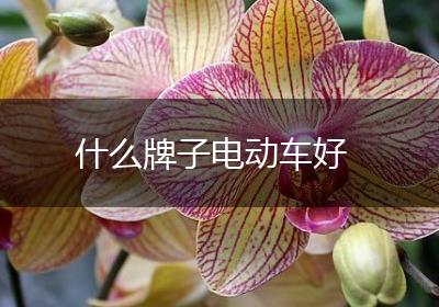 什么牌子电动车好