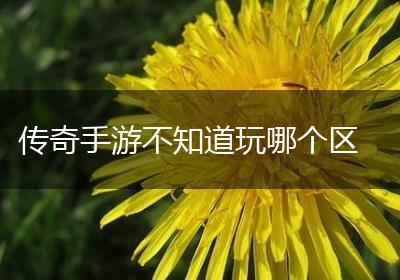传奇手游不知道玩哪个区