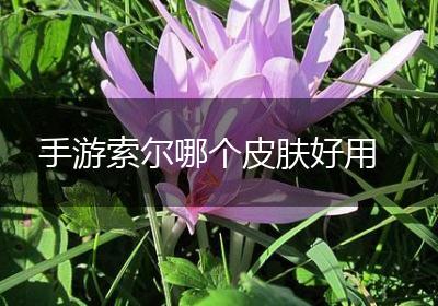 手游索尔哪个皮肤好用