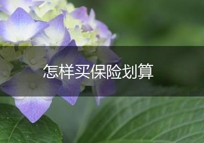 怎样买保险划算