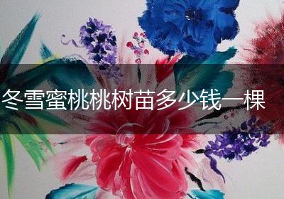 冬雪蜜桃桃树苗多少钱一棵