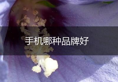 手机哪种品牌好