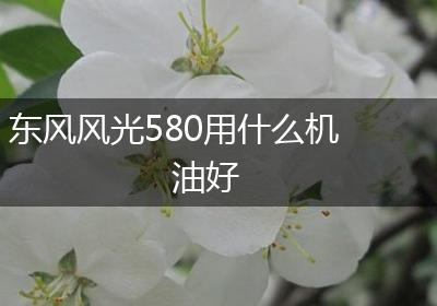 东风风光580用什么机油好