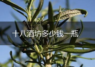 十八酒坊多少钱一瓶