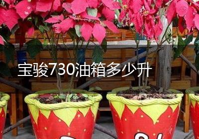 宝骏730油箱多少升