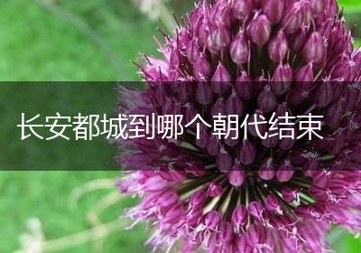 长安都城到哪个朝代结束