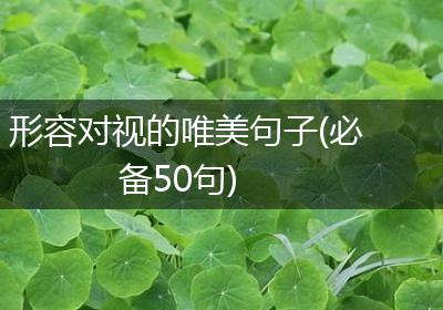 形容对视的唯美句子(必备50句)