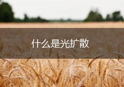 什么是光扩散