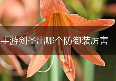 手游剑圣出哪个防御装厉害