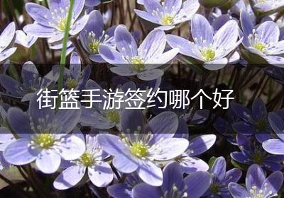 街篮手游签约哪个好