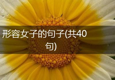 形容女子的句子(共40句)