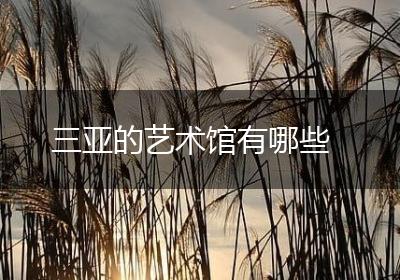 三亚的艺术馆有哪些