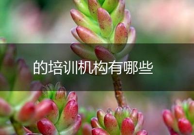 的培训机构有哪些