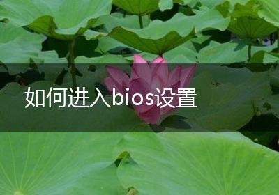 如何进入bios设置