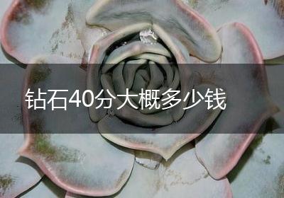 钻石40分大概多少钱