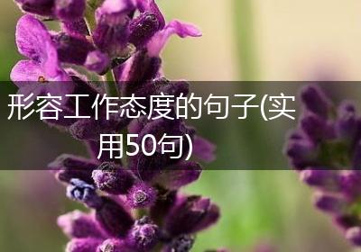 形容工作态度的句子(实用50句)