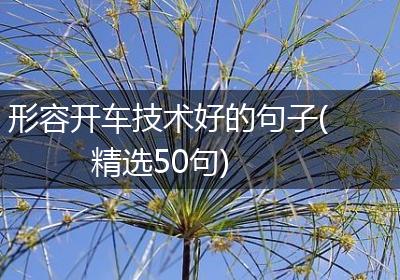 形容开车技术好的句子(精选50句)