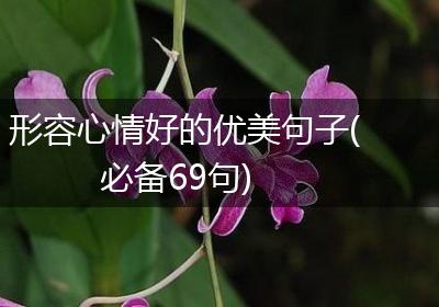 形容心情好的优美句子(必备69句)