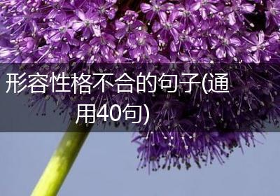 形容性格不合的句子(通用40句)