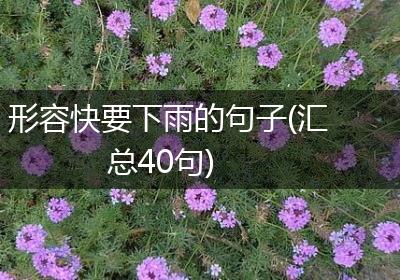 形容快要下雨的句子(汇总40句)