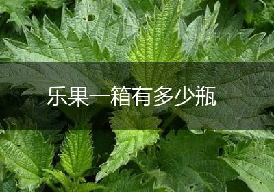 乐果一箱有多少瓶