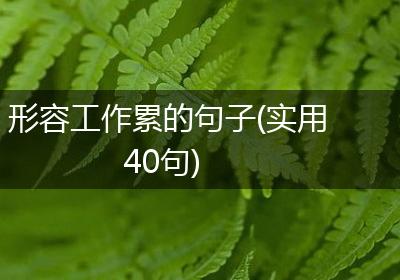 形容工作累的句子(实用40句)