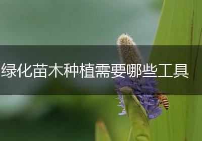 绿化苗木种植需要哪些工具