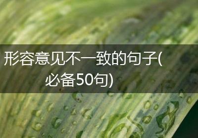 形容意见不一致的句子(必备50句)