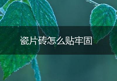 瓷片砖怎么贴牢固