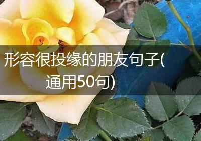 形容很投缘的朋友句子(通用50句)