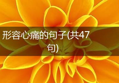 形容心痛的句子(共47句)