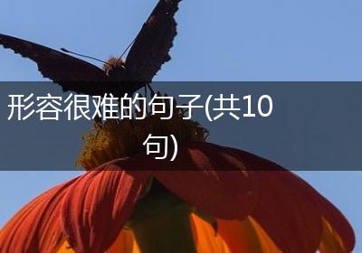 形容很难的句子(共10句)