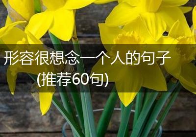 形容很想念一个人的句子(推荐60句)