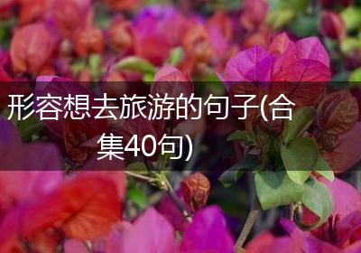 形容想去旅游的句子(合集40句)