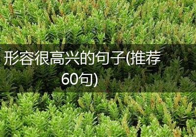形容很高兴的句子(推荐60句)