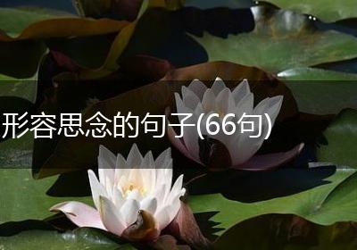 形容思念的句子(66句)