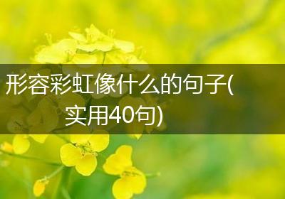 形容彩虹像什么的句子(实用40句)