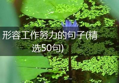 形容工作努力的句子(精选50句)