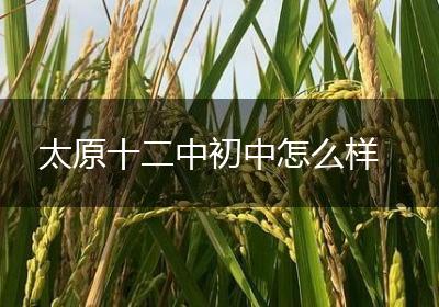 太原十二中初中怎么样