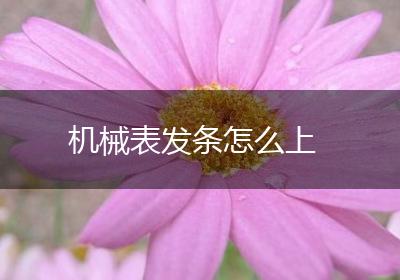 机械表发条怎么上