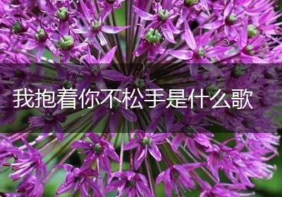 我抱着你不松手是什么歌