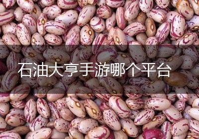 石油大亨手游哪个平台