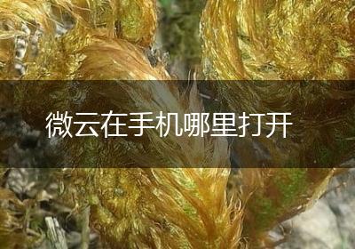 微云在手机哪里打开