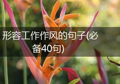 形容工作作风的句子(必备40句)