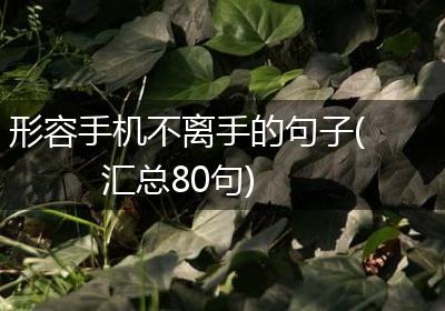 形容手机不离手的句子(汇总80句)