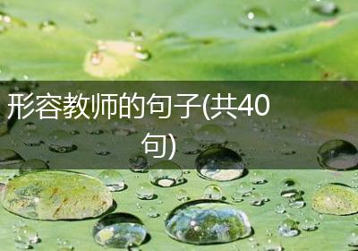 形容教师的句子(共40句)