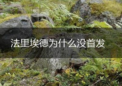 法里埃德为什么没首发