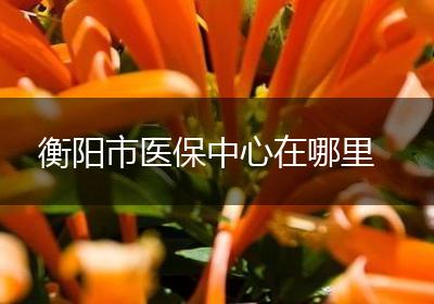 衡阳市医保中心在哪里