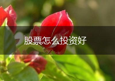 股票怎么投资好
