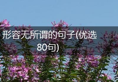 形容无所谓的句子(优选80句)